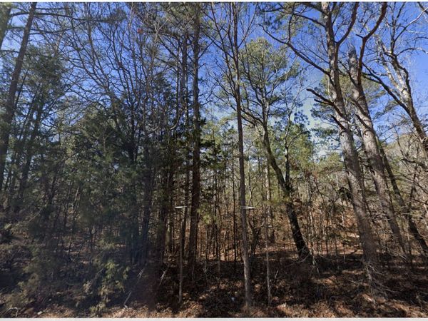 0 Bethesda Purdy Road , Selmer, TN 38375
