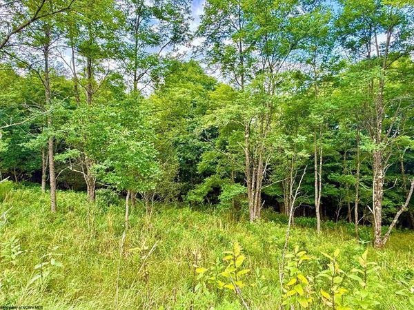 Lot 46 Thunderstruck Road, Harman, WV 26270