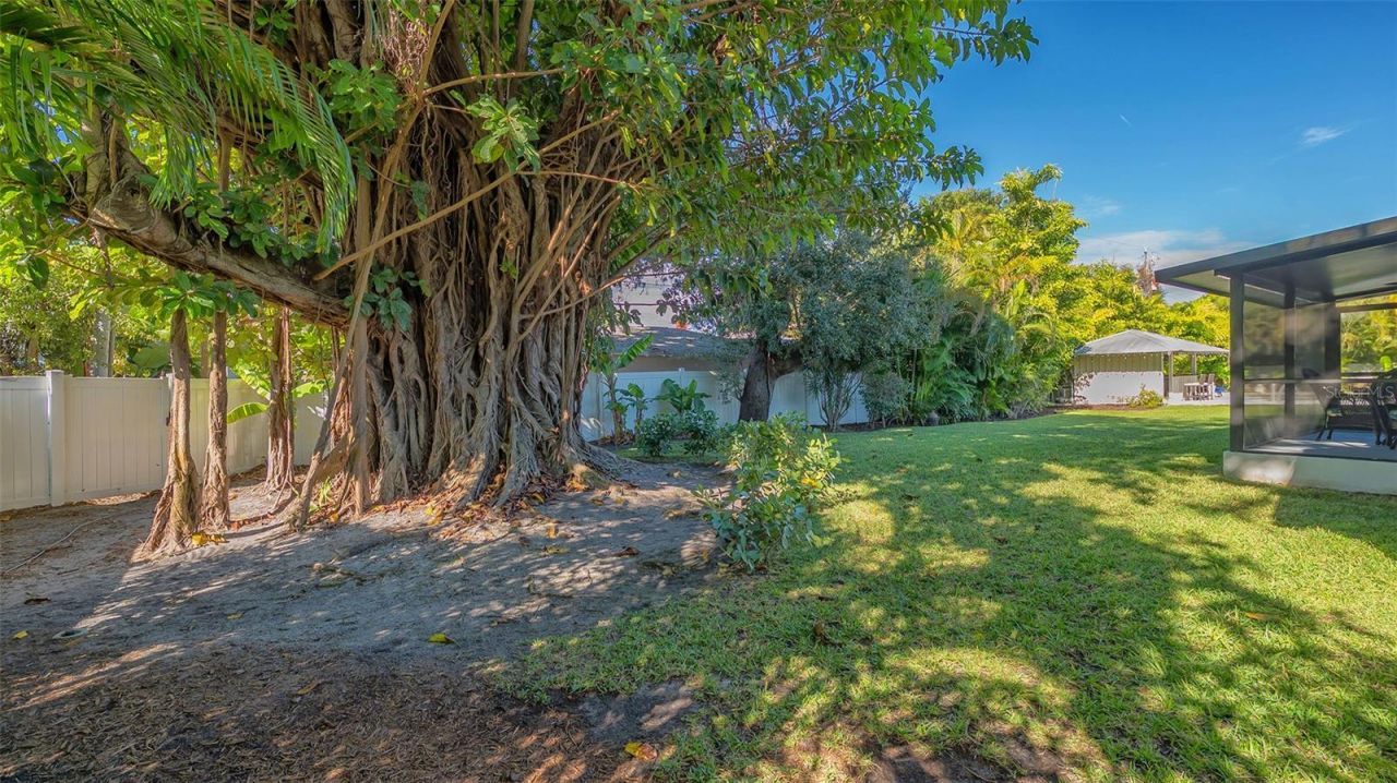 3606 Palonia Court, Sarasota, FL 34239 Photo