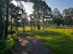 423 SW Alderene Park Way , Madison, FL 32340 Photo