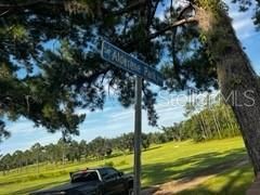 423 SW Alderene Park Way , Madison, FL 32340 Photo