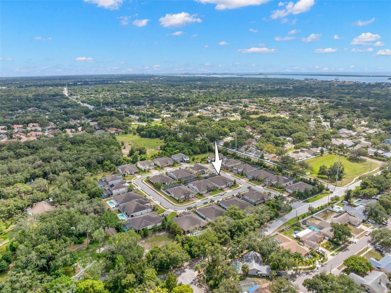 1528 Forest Glen Court, Palm Harbor, FL 34683 Photo