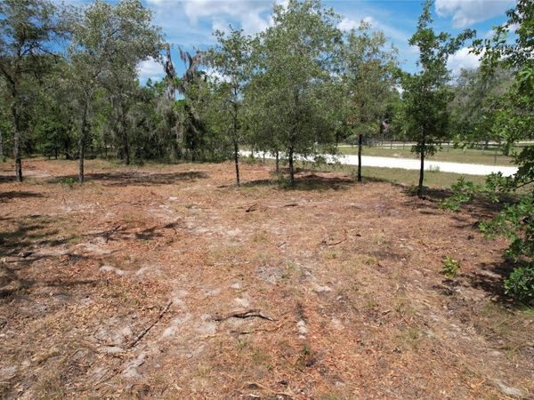 53RD LANE , MORRISTON, FL 32668