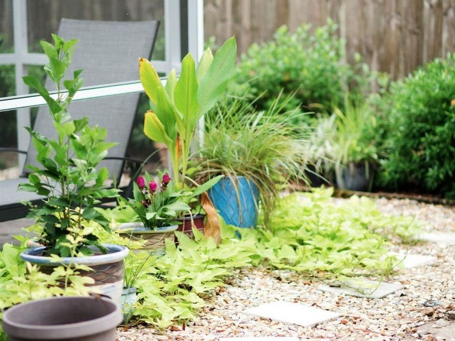 Property Image 54