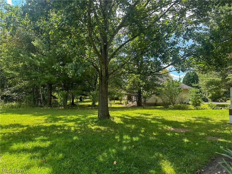 11 Mohawk Drive, Girard, OH 44420 Photo 50