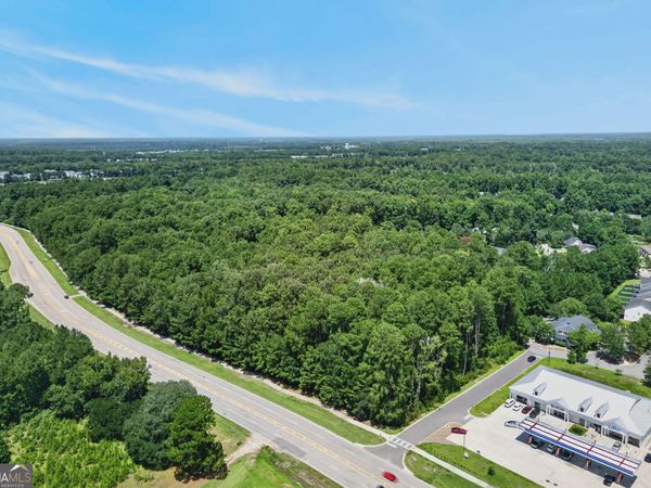 0 Harris Trail Road, Richmond Hill, GA 31324