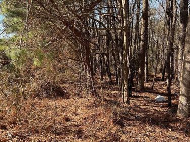 204 Fairhaven Street, Apex, NC 27539