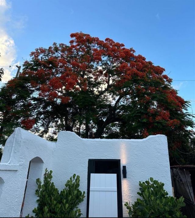823 33rd Street, West Palm Beach, FL 33407 Photo