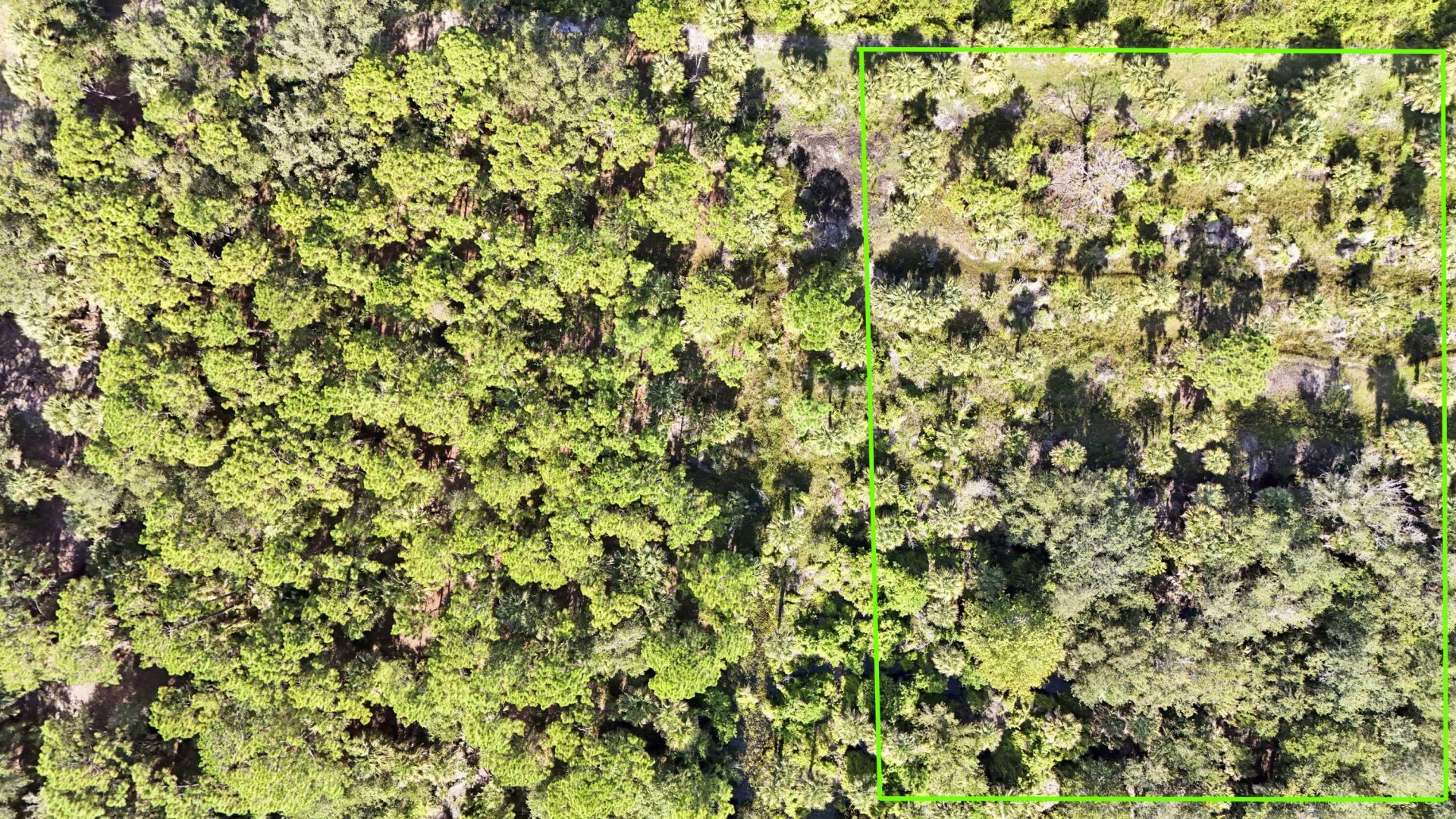 Tbd2 SW Cardamine Street, Indiantown, FL 34956 Photo