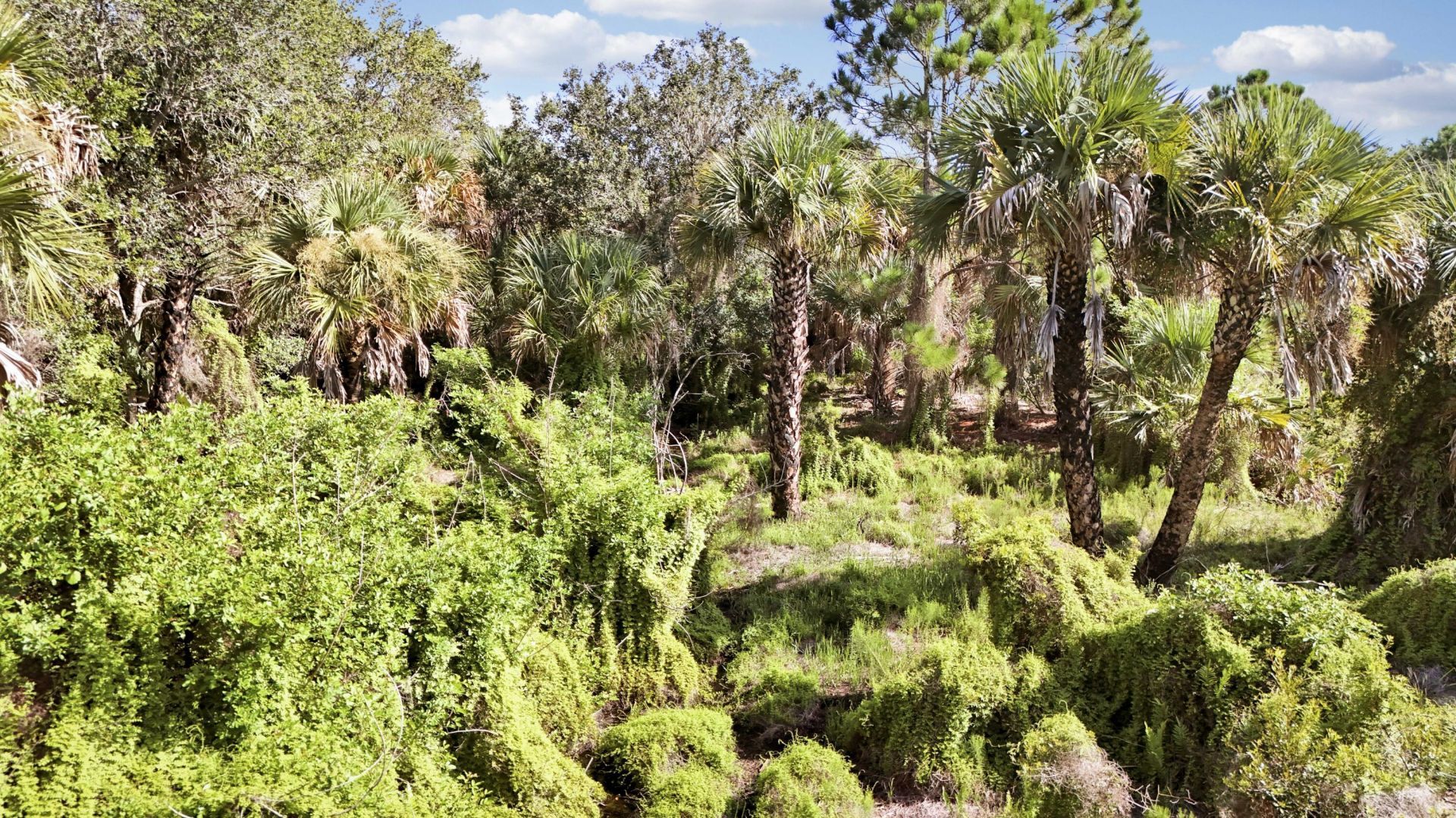 Tbd2 SW Cardamine Street, Indiantown, FL 34956 Photo