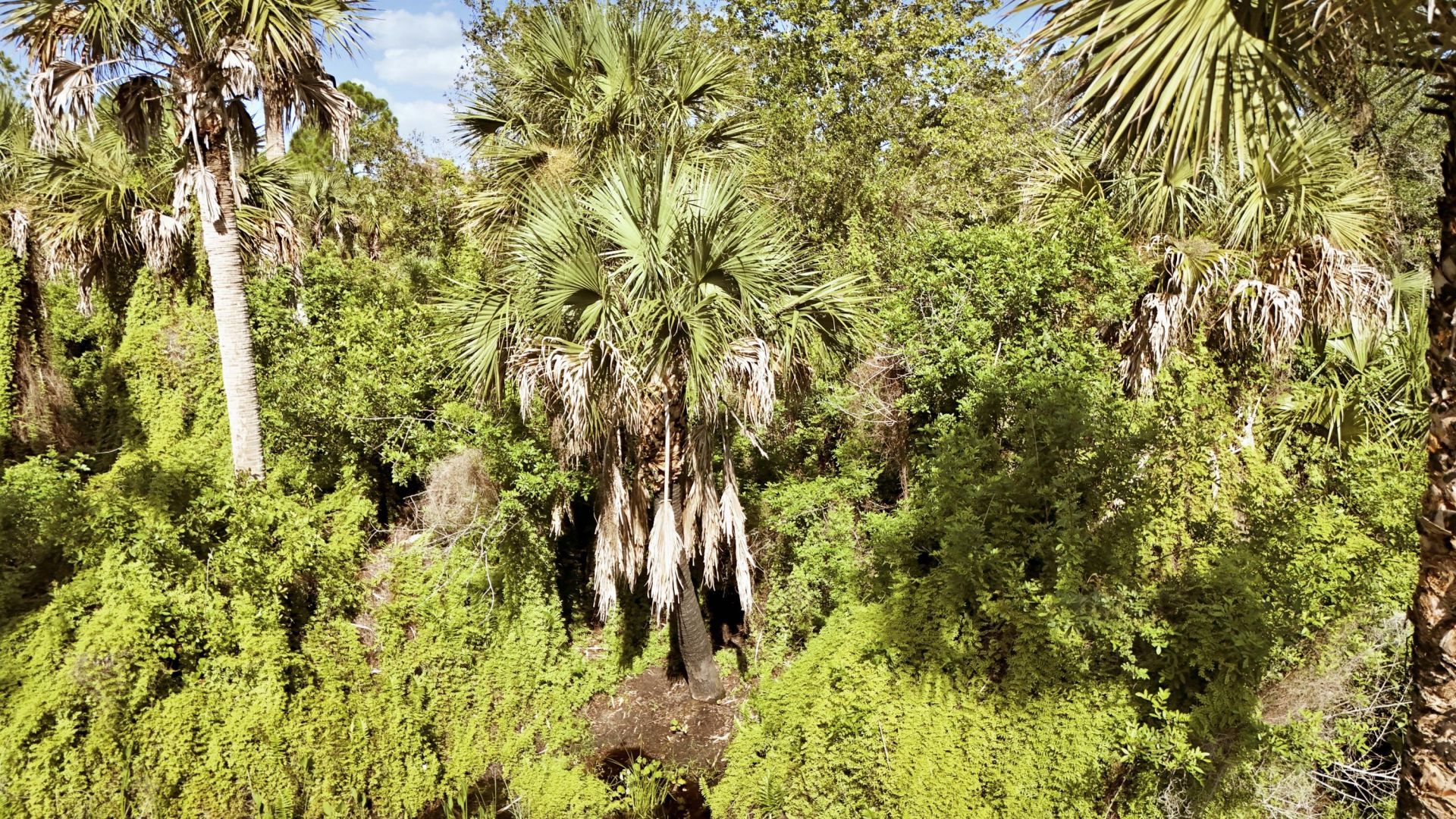 Tbd2 SW Cardamine Street, Indiantown, FL 34956 Photo