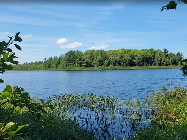 457 Lake Drive NE, Kalkaska, MI 49646