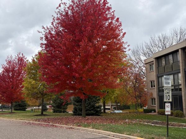 4350 Brookside Court, Unit 302, Edina, MN 55436