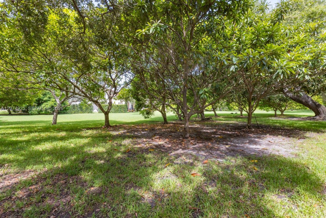 11404 Four Fillies Rd , Pinecrest, FL 33156 Photo