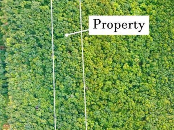 LOT 1 Flowery Branch Road, Kingston, GA 30145