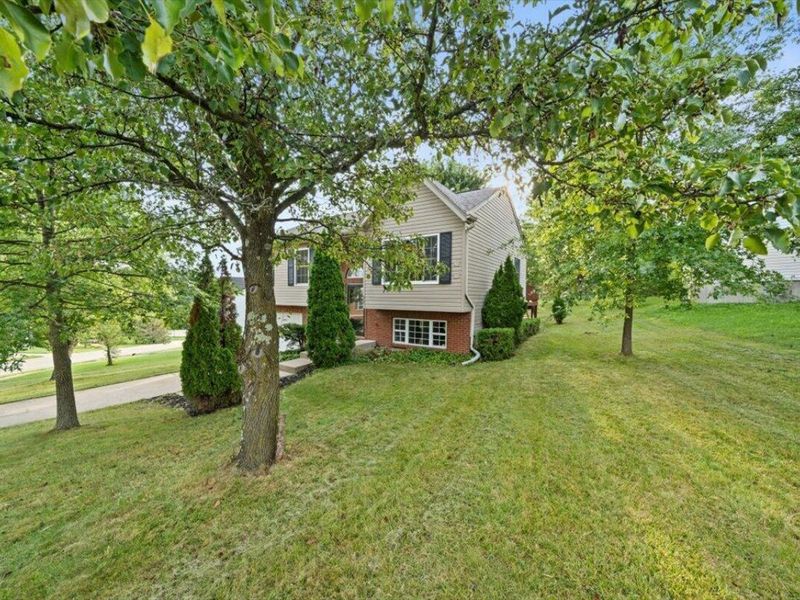 37 Otter Drive, Taylor Mill, KY 41015 Photo 27