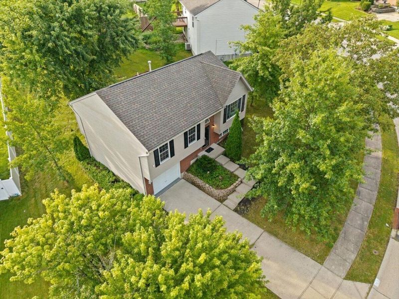 37 Otter Drive, Taylor Mill, KY 41015 Photo 28
