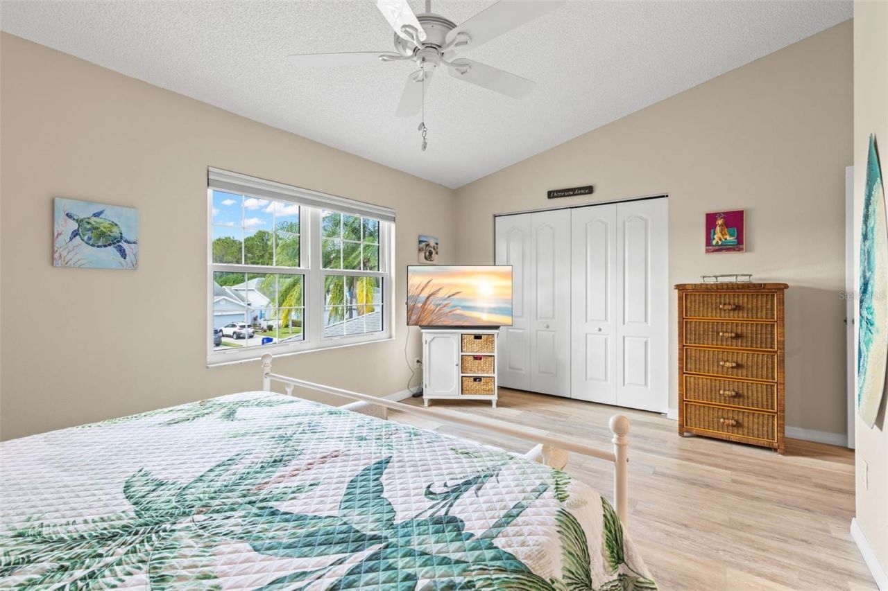 216 Hemingway Drive, Oldsmar, FL 34677 Photo