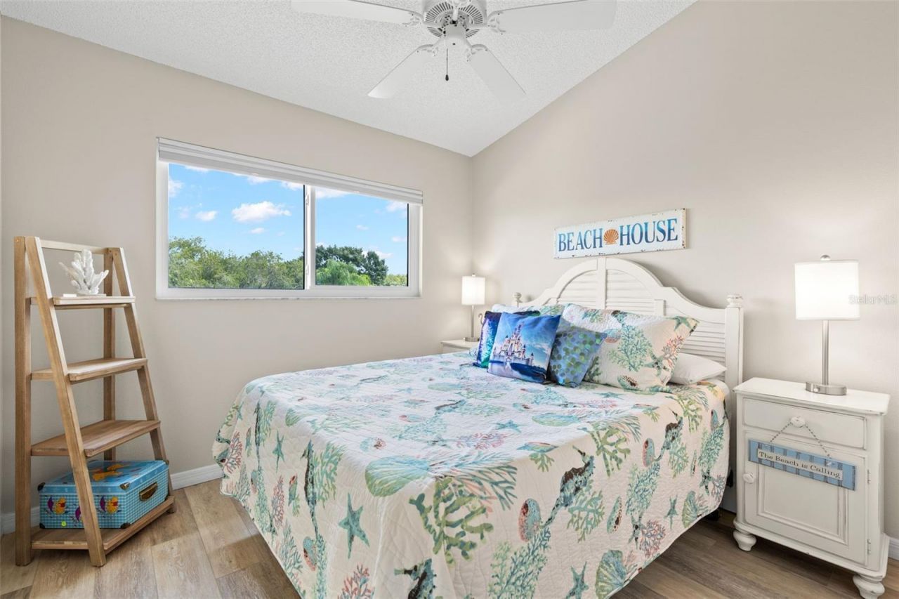 216 Hemingway Drive, Oldsmar, FL 34677 Photo