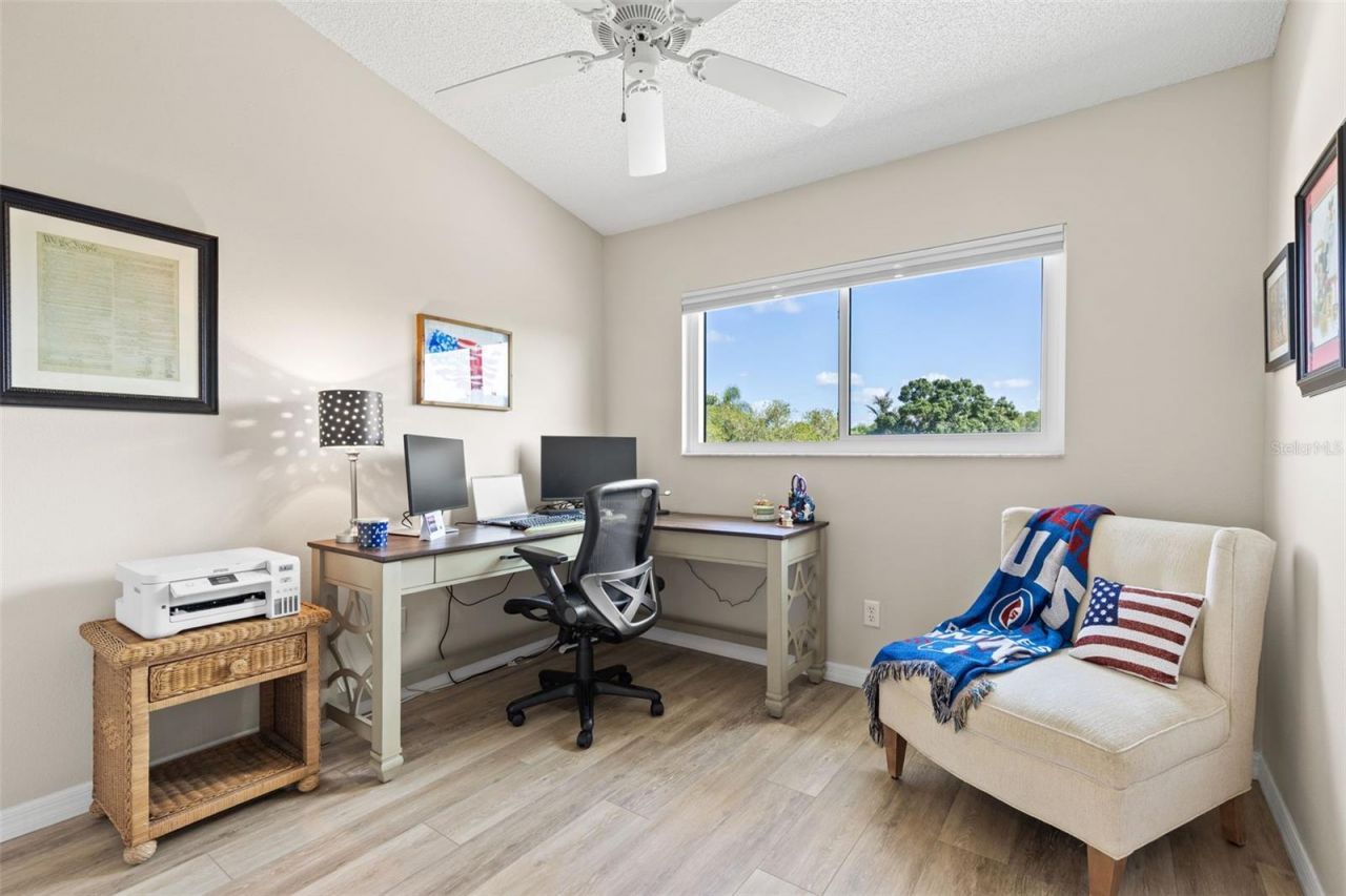 216 Hemingway Drive, Oldsmar, FL 34677 Photo