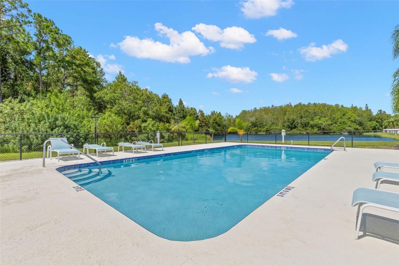 216 Hemingway Drive, Oldsmar, FL 34677 Photo