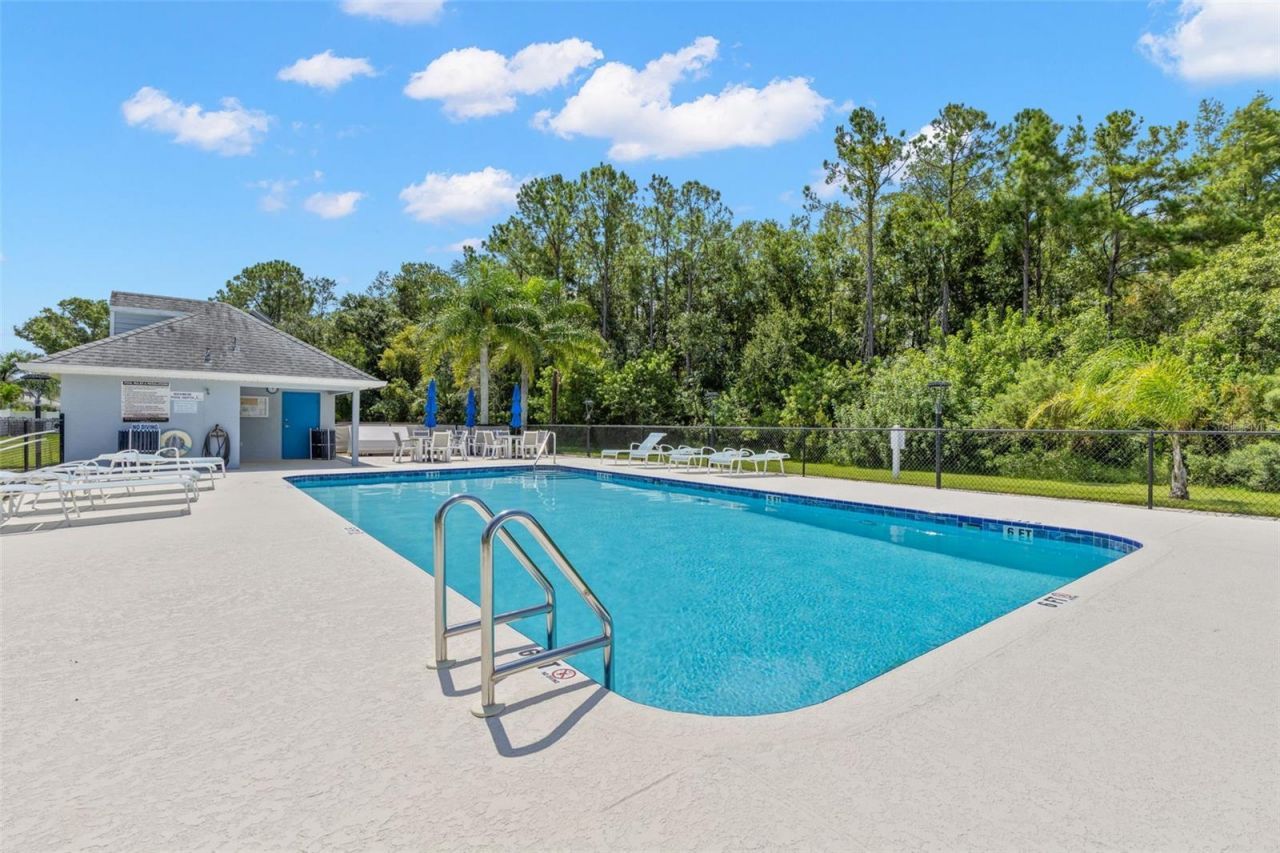 216 Hemingway Drive, Oldsmar, FL 34677 Photo