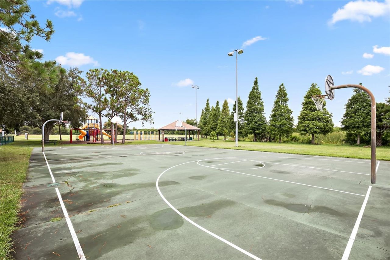 216 Hemingway Drive, Oldsmar, FL 34677 Photo