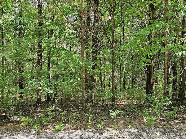 9480 Bent Tree Drive, Hillsboro, MO 63050