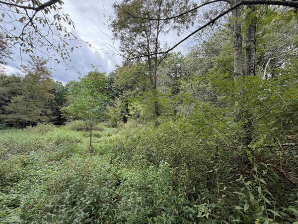 17366A Veterans Memorial Highway, Kingwood, WV 26537