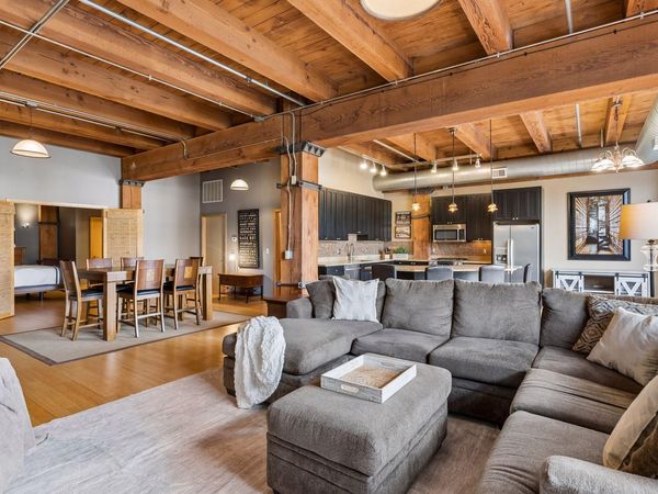 607 Washington Avenue S, Unit 307, Minneapolis, MN 55415