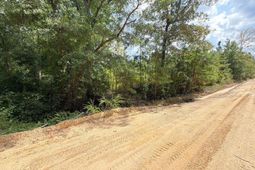 Btf 6 Bradley Trail photo 4
