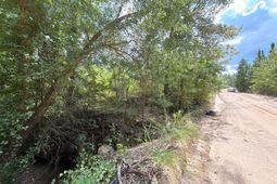 Btf 6 Bradley Trail photo 4