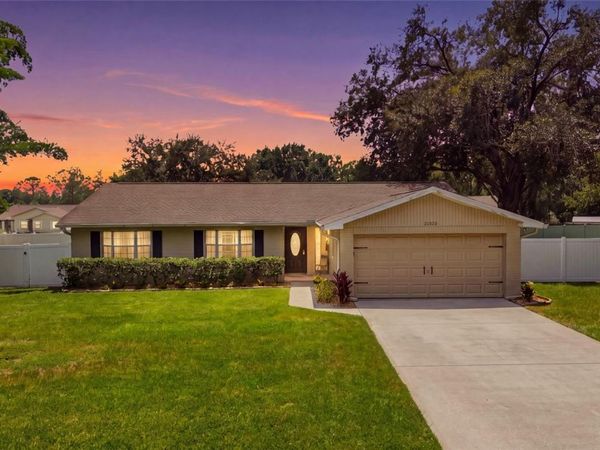 23252 CHARLSTON PLACE , LAND O LAKES, FL 34639