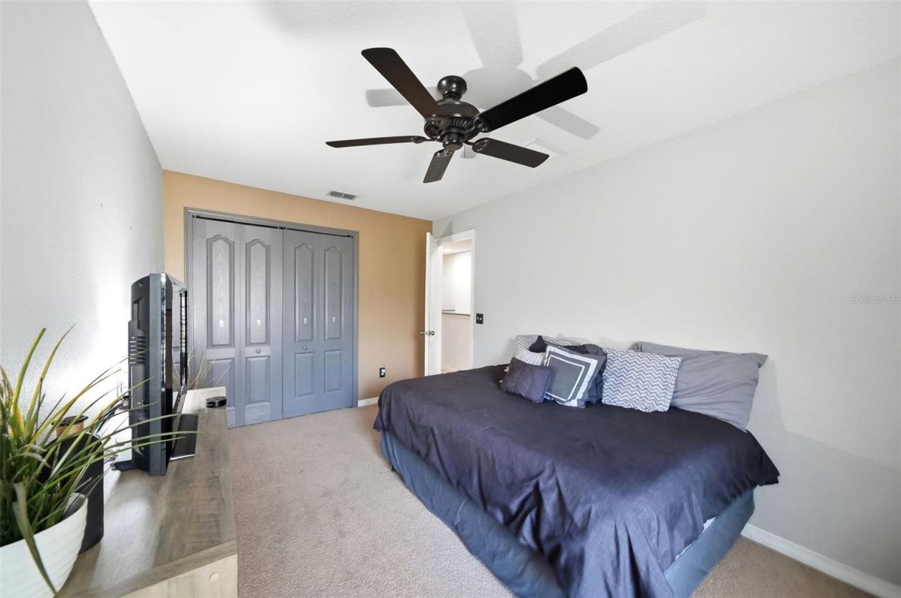 9484 Trumpet Vine Loop, Trinity, FL 34655 Photo