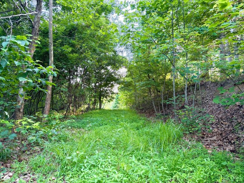 0 Lick Run Lyra Road, Bloom Township, OH 45682 Photo 11