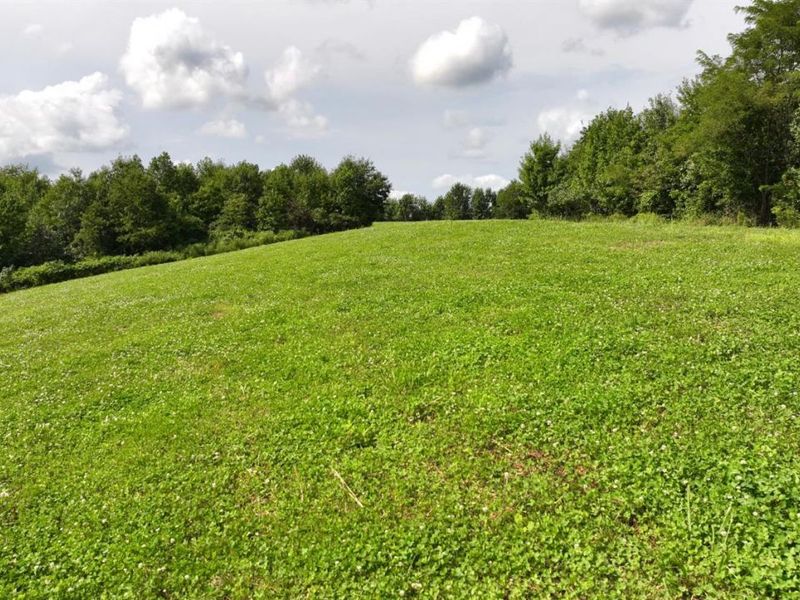 0 Lick Run Lyra Road, Bloom Township, OH 45682 Photo 15