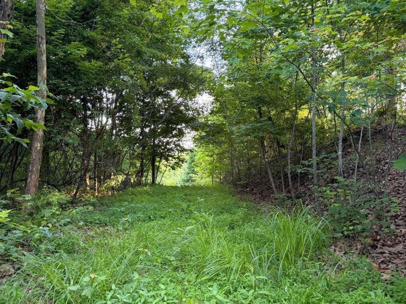 0 Lick Run Lyra Road, Bloom Township, OH 45682 Photo 42
