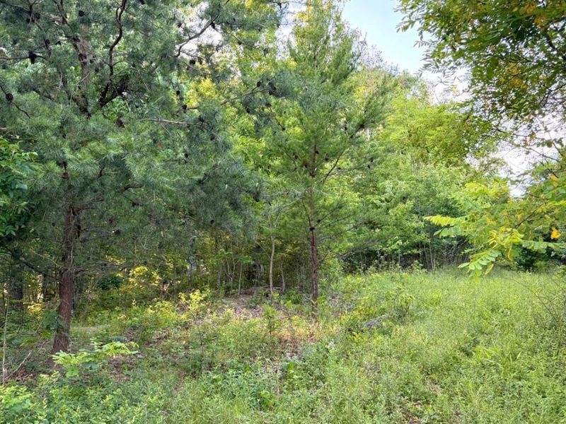 0 Lick Run Lyra Road, Bloom Township, OH 45682 Photo 45