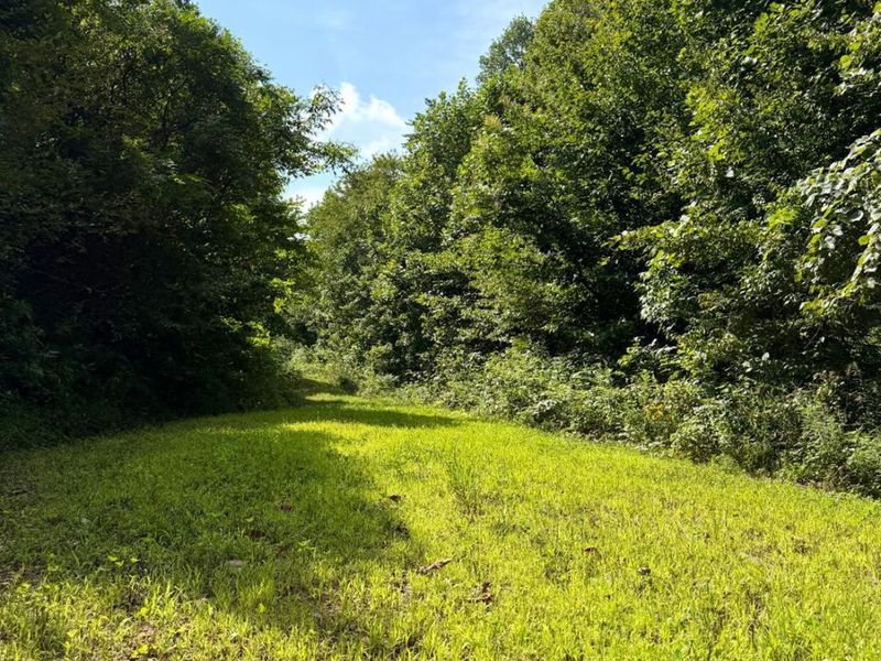0 Lick Run Lyra Road, Bloom Township, OH 45682 Photo 46