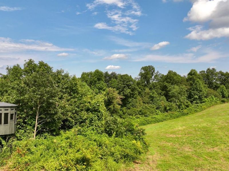 0 Lick Run Lyra Road, Bloom Township, OH 45682 Photo 50