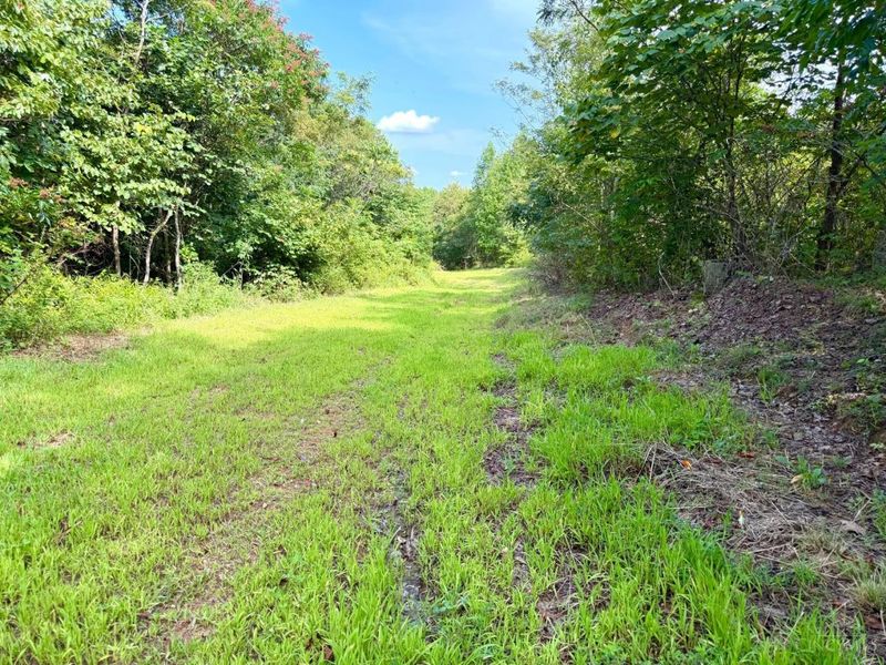 0 Lick Run Lyra Road, Bloom Township, OH 45682 Photo 59