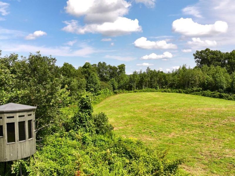 0 Lick Run Lyra Road, Bloom Township, OH 45682 Photo 6