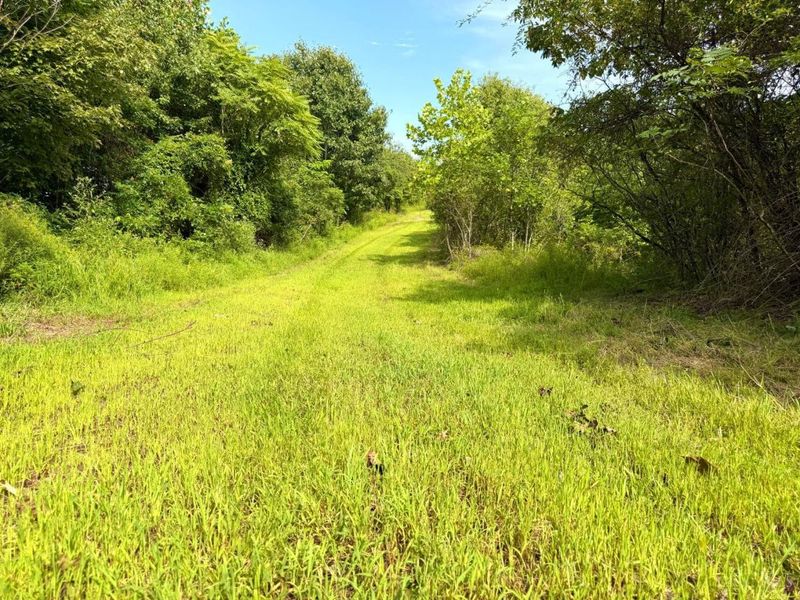 0 Lick Run Lyra Road, Bloom Township, OH 45682 Photo 60