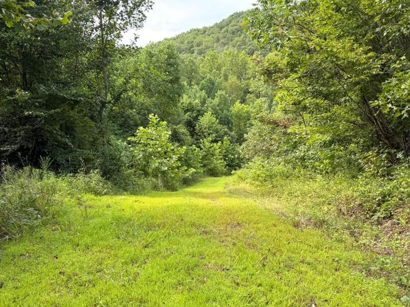 0 Lick Run Lyra Road, Bloom Township, OH 45682 Photo 61