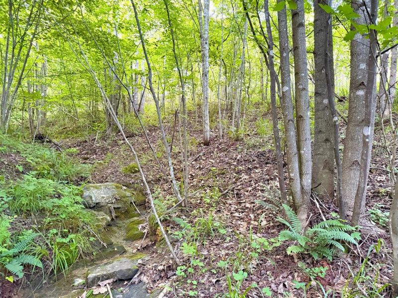 0 Lick Run Lyra Road, Bloom Township, OH 45682 Photo 8