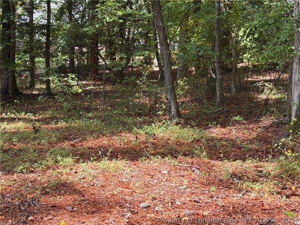 1532 DELAWARE Place, Sanford, NC 27332