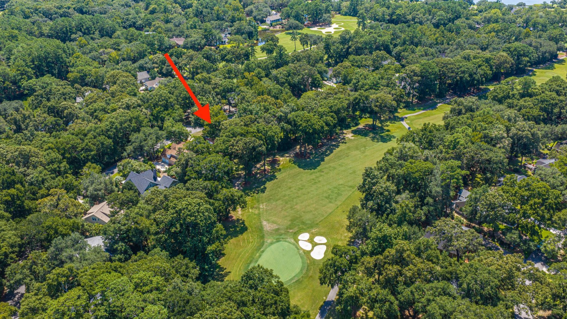 5201 Forest Oaks Drive Photo 38
