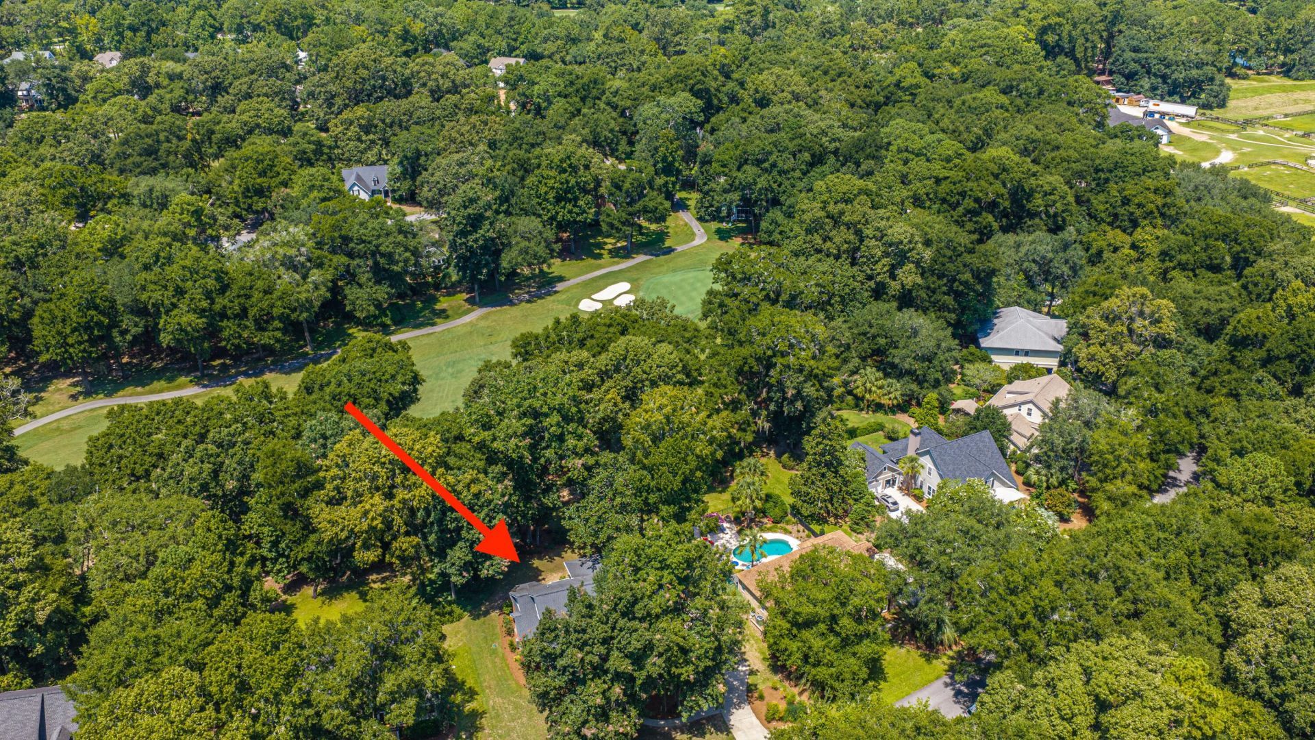 5201 Forest Oaks Drive Photo 45