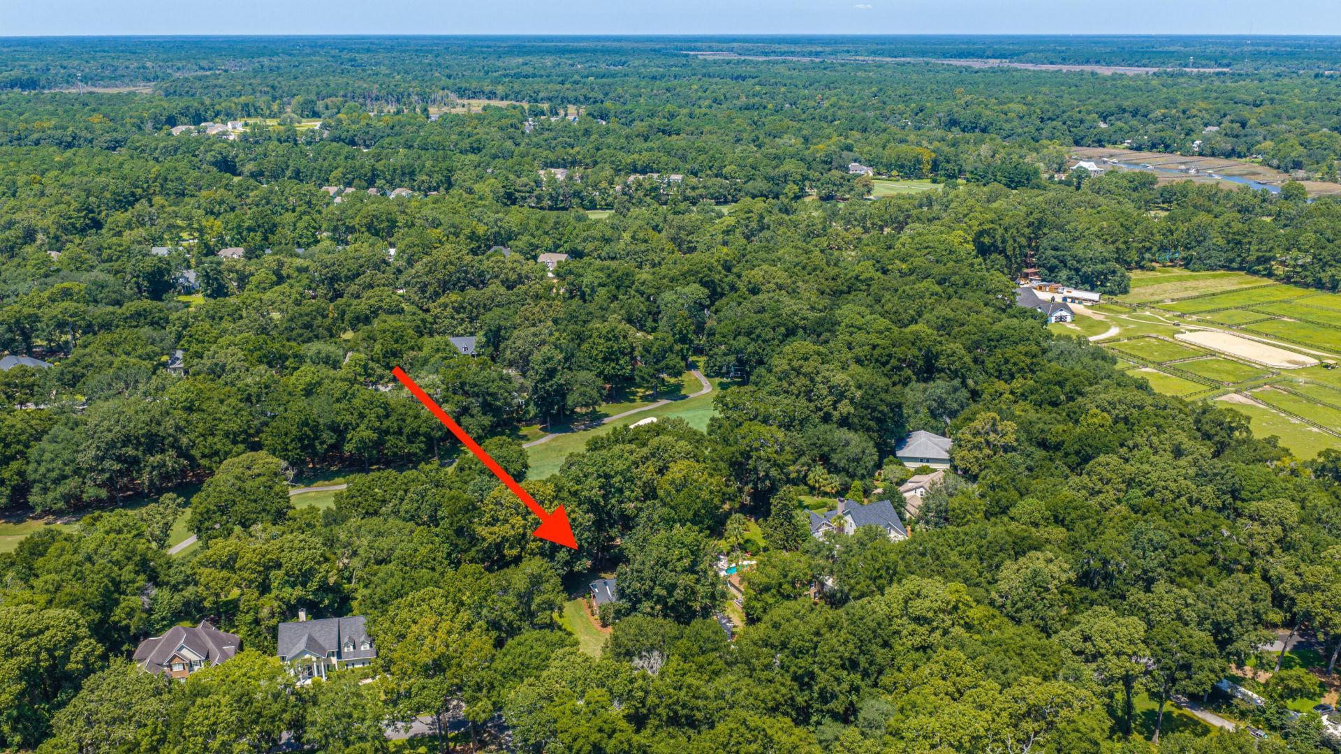 5201 Forest Oaks Drive Photo 46