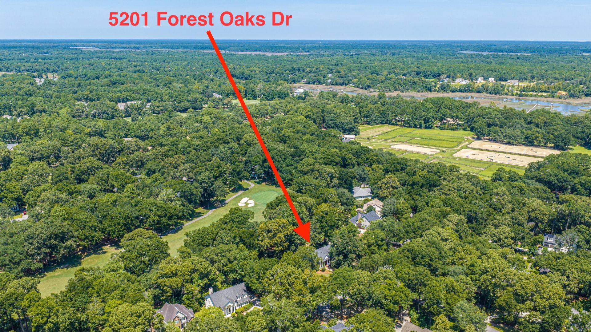 5201 Forest Oaks Drive Photo 47